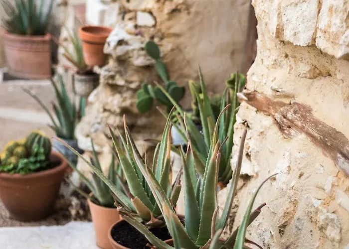 Demajia Casa Entera En Nyaraló *